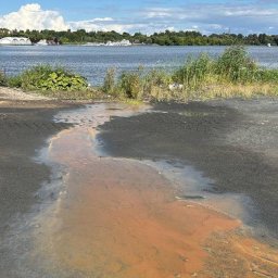 Лабораторный анализ воды в Клязьминском водохранилище шокировал своей правдой Лабораторный анализ воды в Клязьминском водохранилище шокировал своей правдой